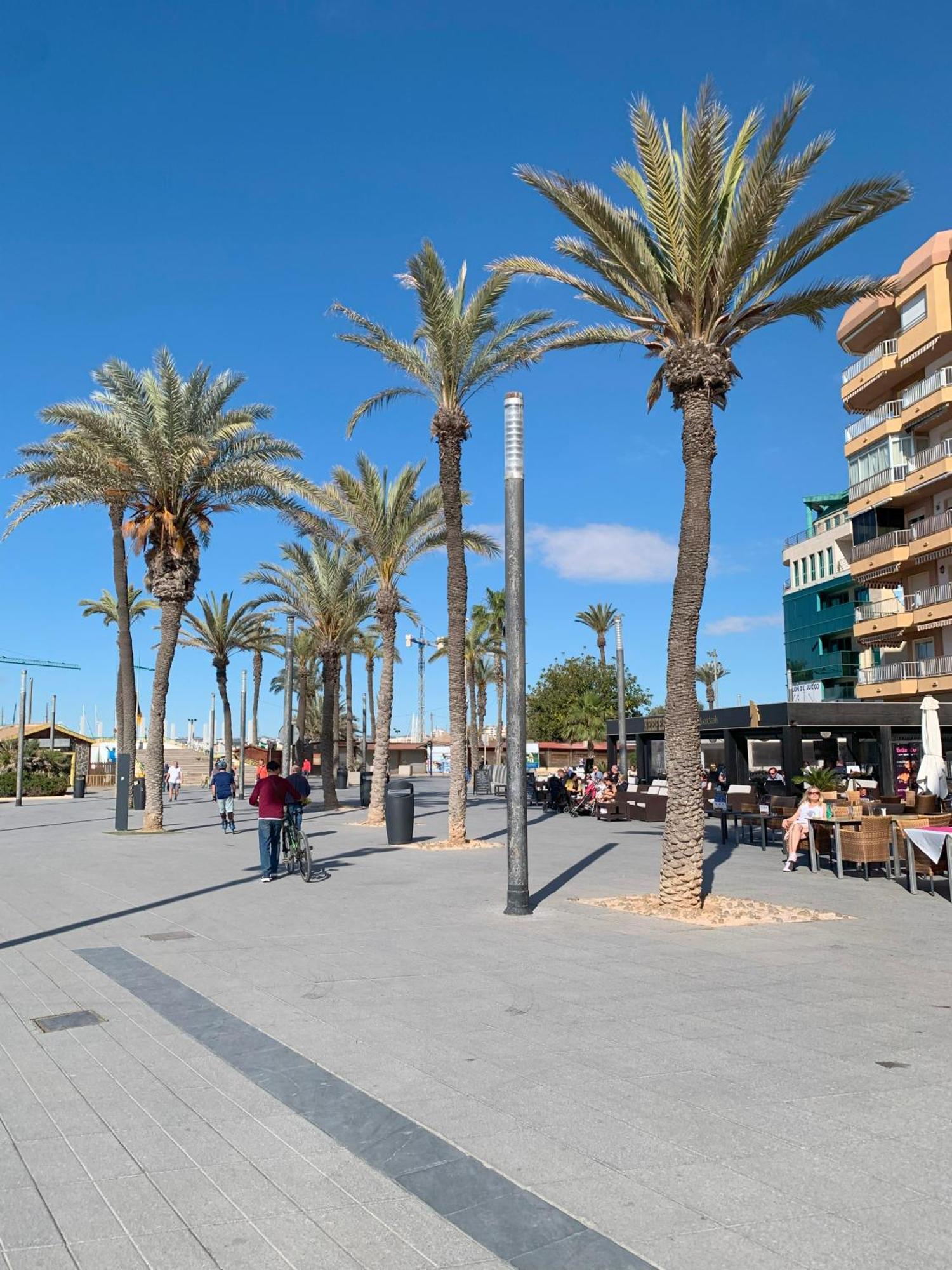 Princesa Blanka By Zanis Torrevieja Eksteriør billede